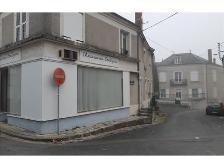 vente immeuble châtillon-sur-indre (36700)