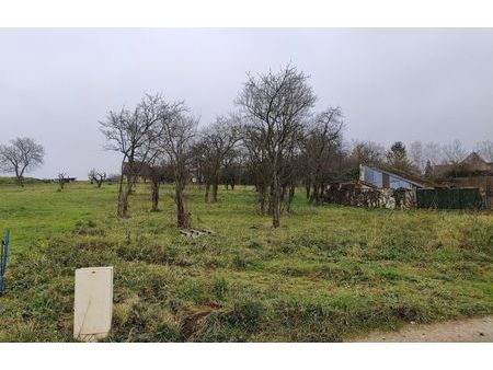 vente terrain 2000 m² lizy-sur-ourcq (77440)