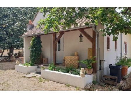vente maison 11 pièces 200 m² bray-saint-aignan (45460)