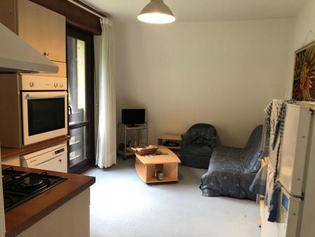 laruns : appartement 3 pièces (40 6 m² carrez) à vendre