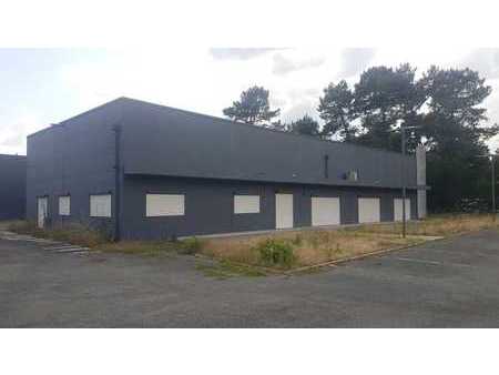 vente d'entrepôt de 2 935 m² à saint-jean-d'illac - 33127