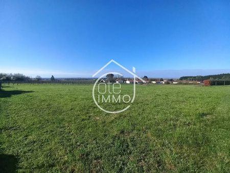 vente terrain à batir 1223 m²