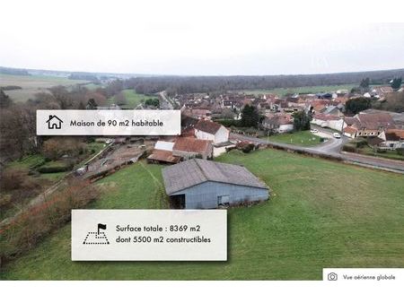 vente terrain 8369 m² huisseau-sur-cosson (41350)