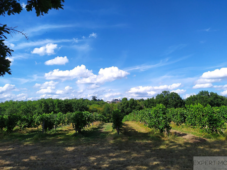tres grand domaine de 110 ha dont beau vignoble de 80 ha en aoc bordeaux avec son chateau 
