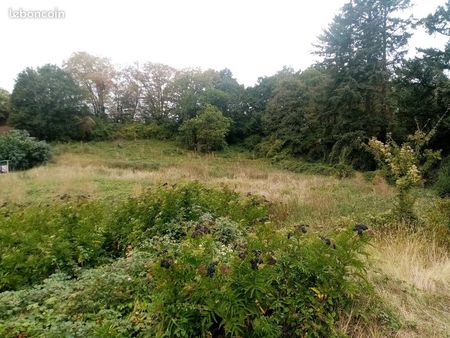 terrain 3001 m² la charite sur loire