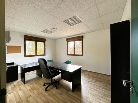 local professionnel - 256m²