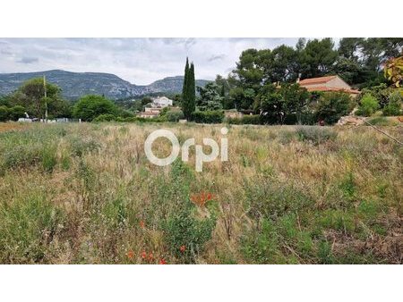 vente terrain 1000 m²