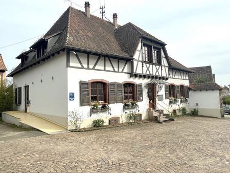 local commercial - 335m² - mittelbergheim