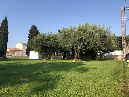 terrain - 363m² - courthezon