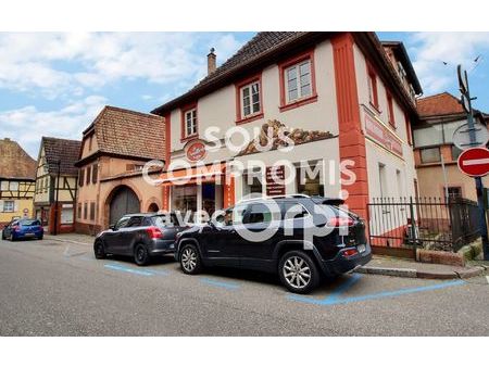 maison pfaffenhoffen 206 m² t-9 à vendre  229 900 €