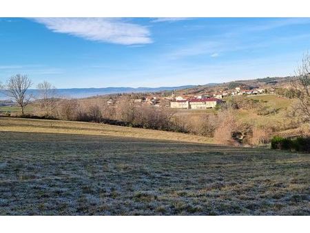 vente terrain 1329 m² montchal (42360)