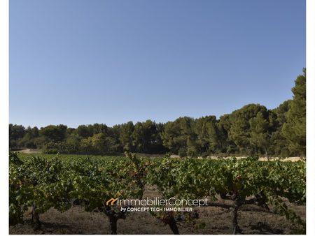 magnifique domaine viticole avec habitation du 18ème siècle