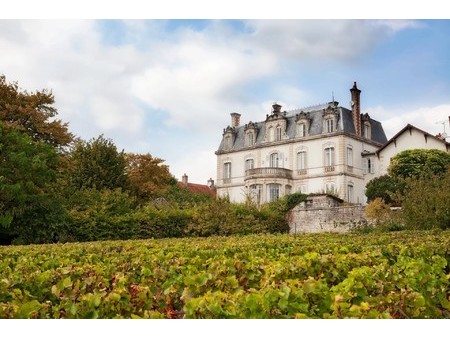 vente château 14 pièces