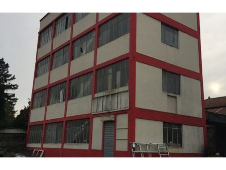 vente immeuble 470 m² chantonnay (85110)