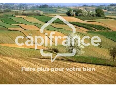 dpt loire atlantique (44)  à vendre rouge maison p5 de 104 m² - terrain de 4 00 ha - plain