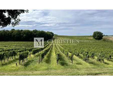 vignoble en vente à duras : domaine viticole de 122ha composé de 94ha de vignes en aoc côt