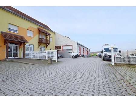 en vente local commercial 781 61 m² – 457 000 € |betschdorf