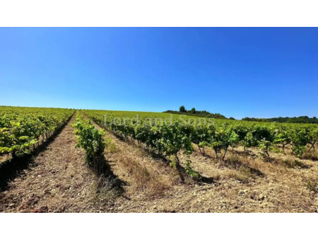 vignoble en vente à visan : secteur enclave des papes  domaine viticole de 50 hectares d'u