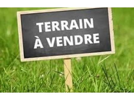 vente terrain 1013 m² bray-sur-seine (77480)