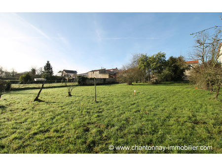 vente terrain 291 m² chantonnay (85110)