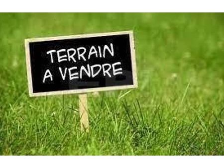 vente terrain 4405 m² loudun (86200)