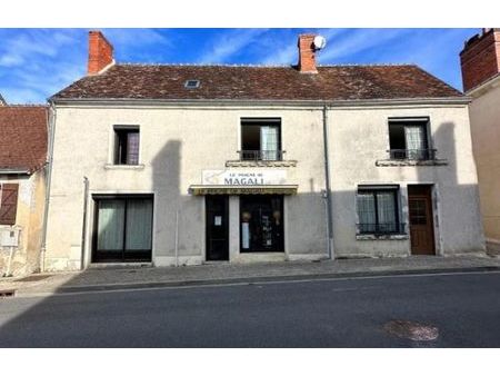 vente maison 6 pièces 238 m² palluau-sur-indre (36500)