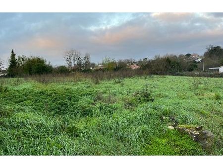 vente terrain 1700 m² mouzeuil-saint-martin (85370)