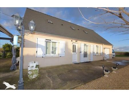 vente maison 5 pièces 138 m² neuville-sur-brenne (37110)