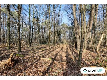 vente terrain 770 m²