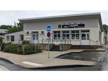 vente locaux professionnels 5 pièces 174 m²