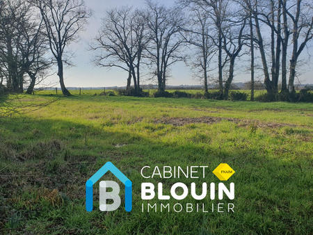 vente terrain à blain (44130) : à vendre / 1820m² blain