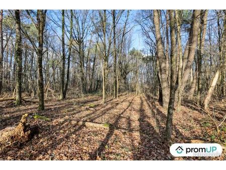 forêt 770 m² chatillon sur cher