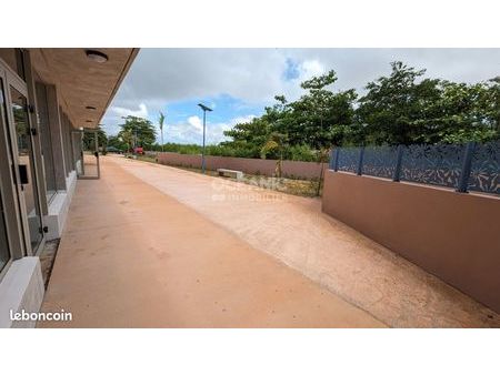 local commercial 177 m² cayenne