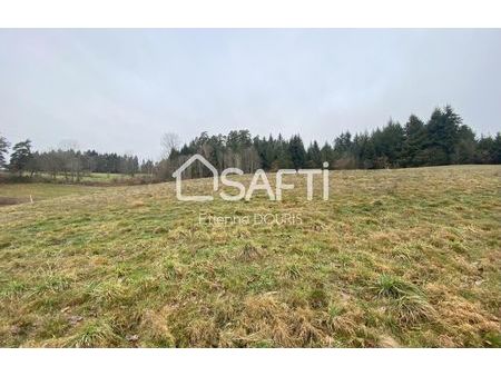 vente terrain 2586 m² chabreloche (63250)