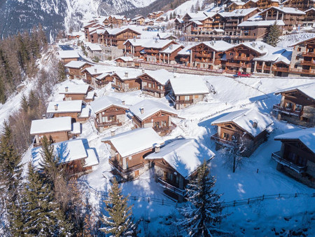 chalet alpin à vendre station de ski de sainte foy  5 chambres  grand salon et cuisine ouv