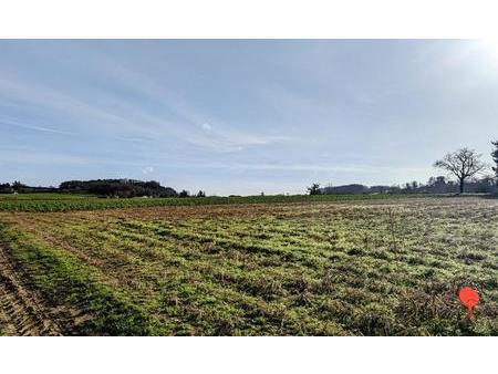 vente terrain constructible avec parcelle de terre irrigable de plus de 2 6 hectares