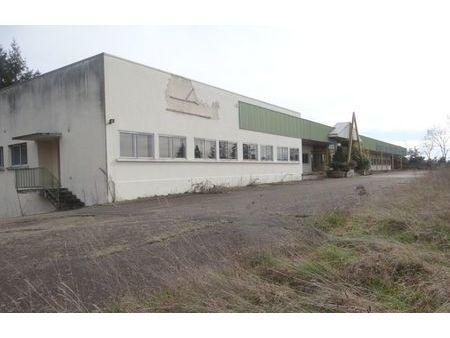 vente local industriel 18 pièces 2966 m² montluçon (03100)