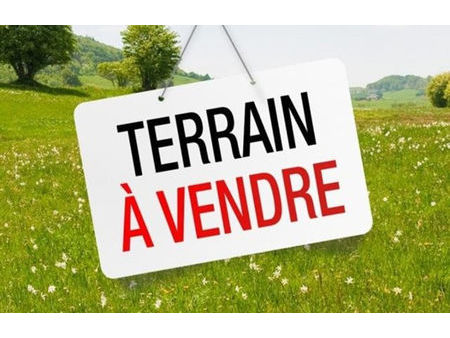 vente terrain 1100 m² saint-pavace (72190)