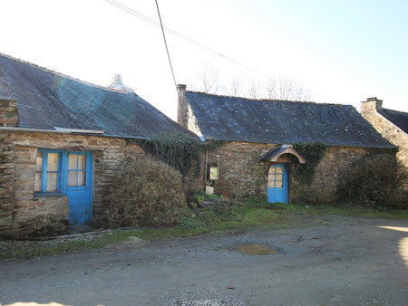 un cottage en pierre à rénover avec grand hangar et terrain.