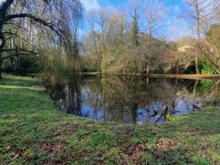 vente bois  forêt et étang à la caillère-saint-hilaire (85410) : à vendre / la caillère-sa