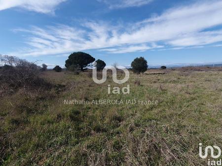 vente terrain à canet (11200) : à vendre / 13109m² canet