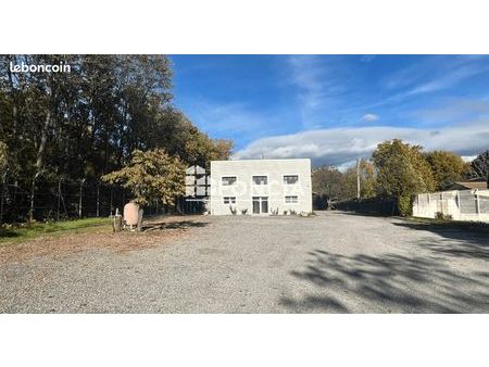 local industriel 226 m²