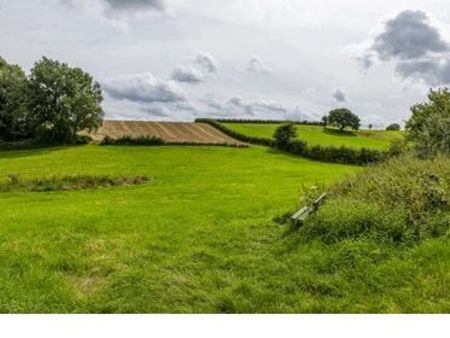 cherche terrain artisanal avec bâti ou non