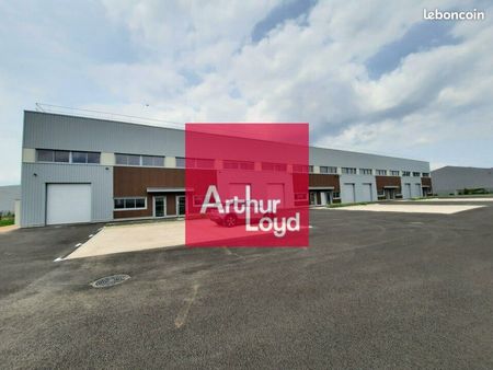 local d'activité 980 m²