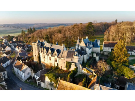 château en vente à palluau-sur-indre : exclusivité. berry - indre. au coeur d'un domaine d