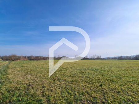 vente terrain 1455m2 biron 64300 - 65000 € - surface privée