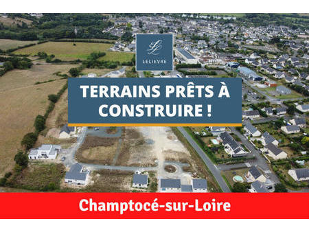 vente terrain à champtocé-sur-loire (49123) : à vendre / 554m² champtocé-sur-loire