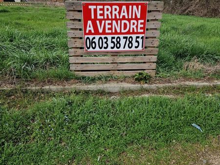 terrain 536 m2 longages