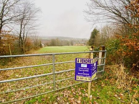 terrain de 1502m2 à burnontige