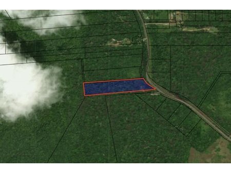 dpt guyane (973)  à vendre montsinery-tonnegrande terrain agricole de 51 041 m²